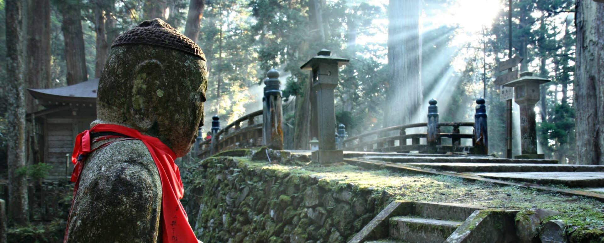 Travel to Japan in 2024 and see the cemetery at Mount Koya