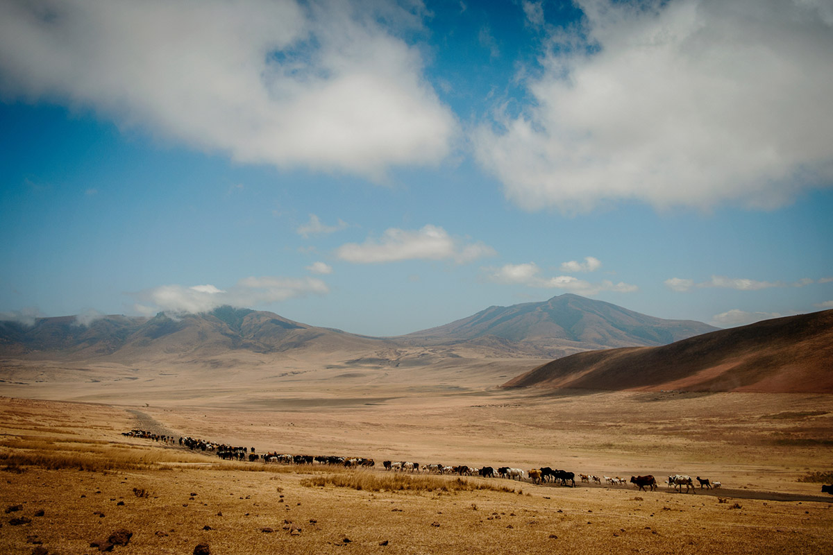 Tanzania Ngorongoro crater