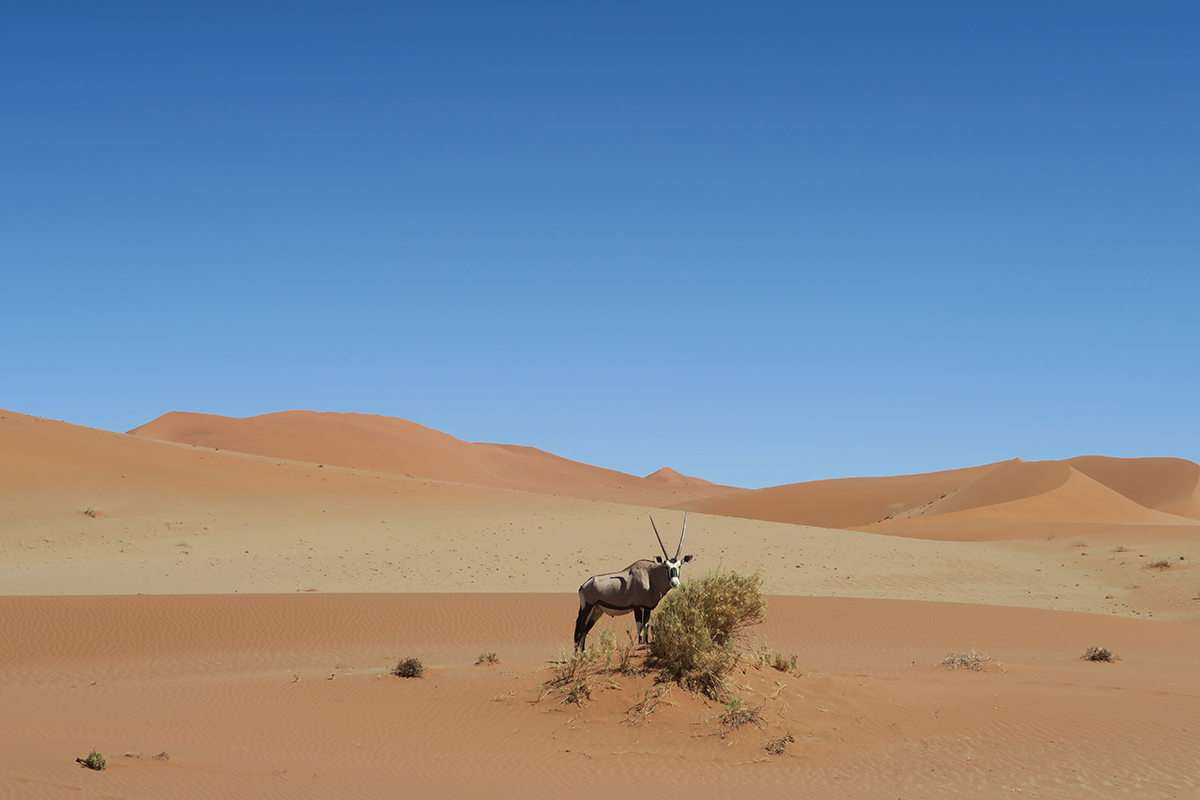 Cara's 8-day road trip in Namibia