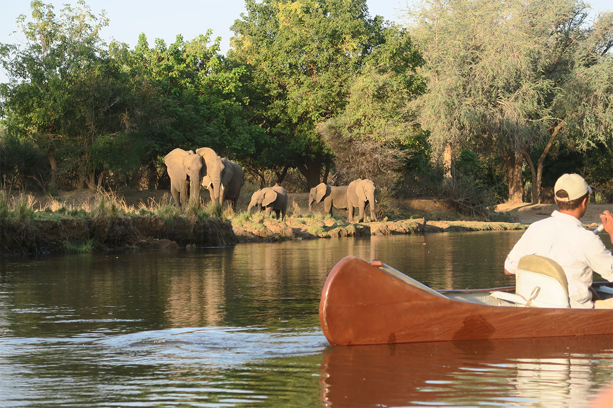 Canoeing at the Zambezi river where the best lower Zambezi lodges are