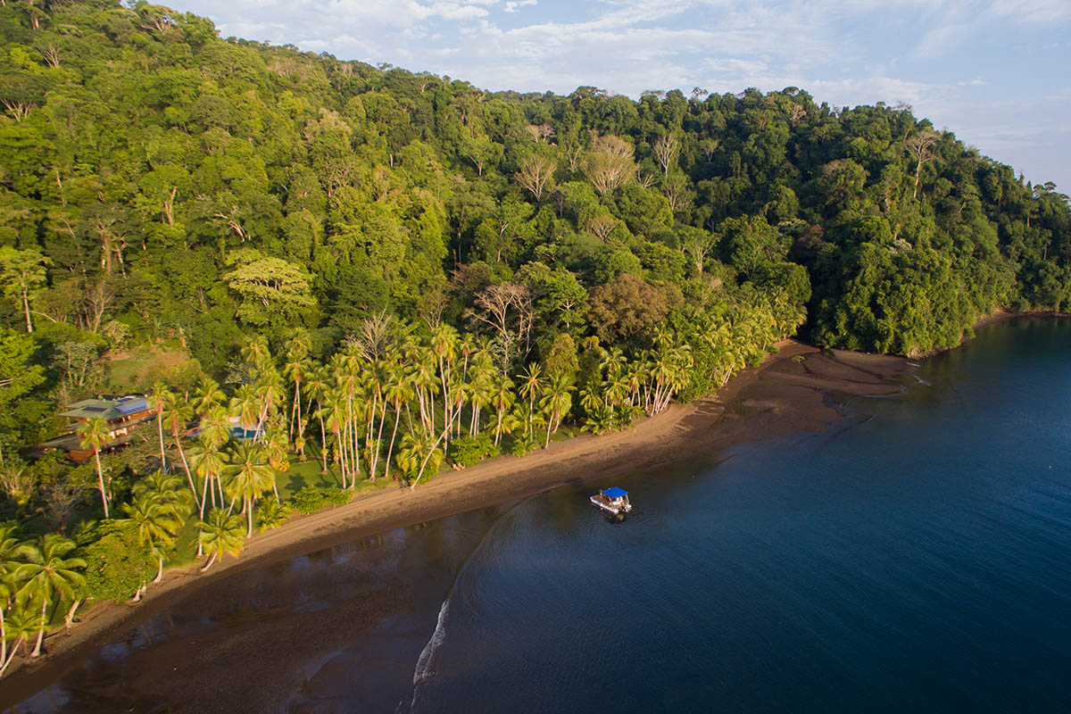 The best places to spot Costa Rica's amazing wildlife
