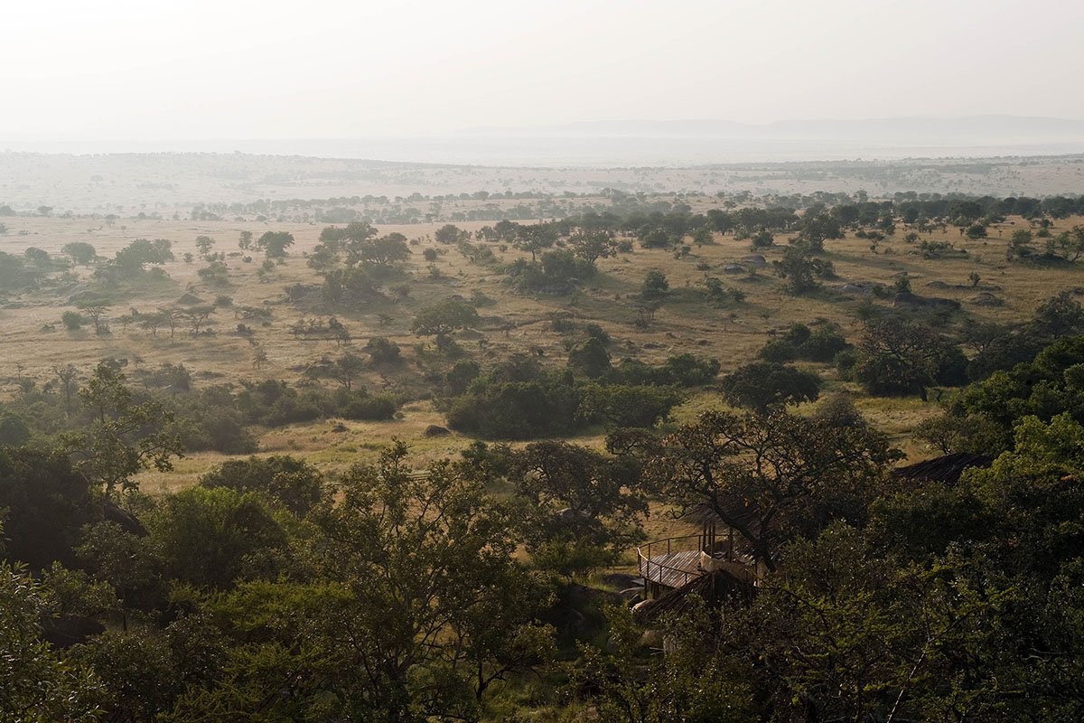A day in the northern Serengeti