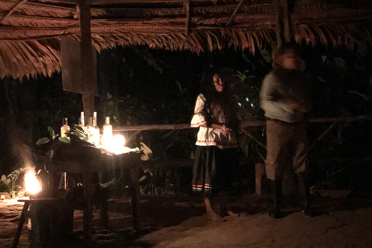 My life-changing experience in the Peruvian Amazon