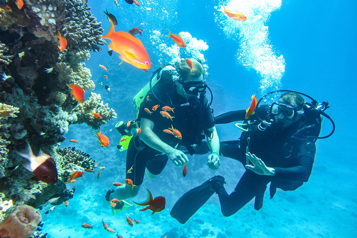 Scuba Diving Sharm