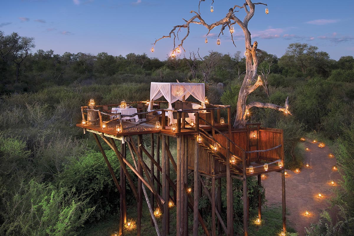 South Africa star bed on safari
