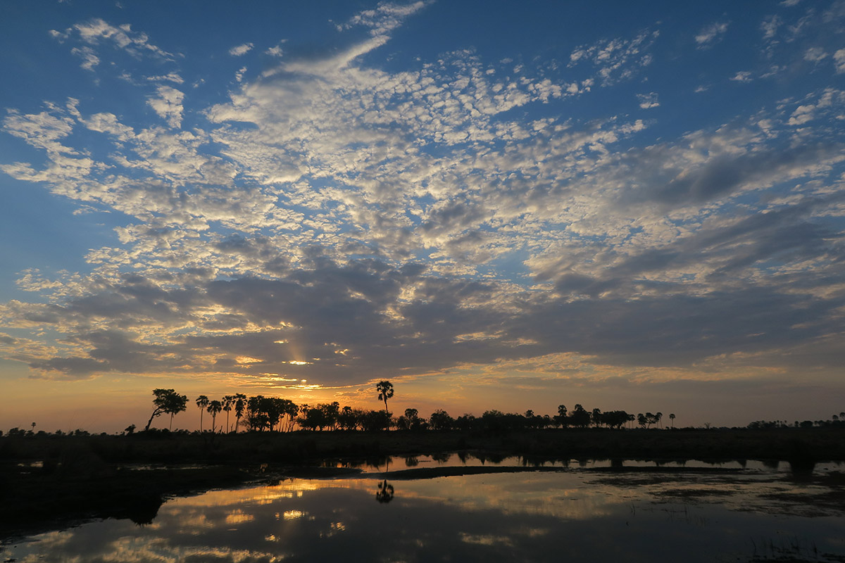 Okavango Delta at sunset during your family safari in Botswana