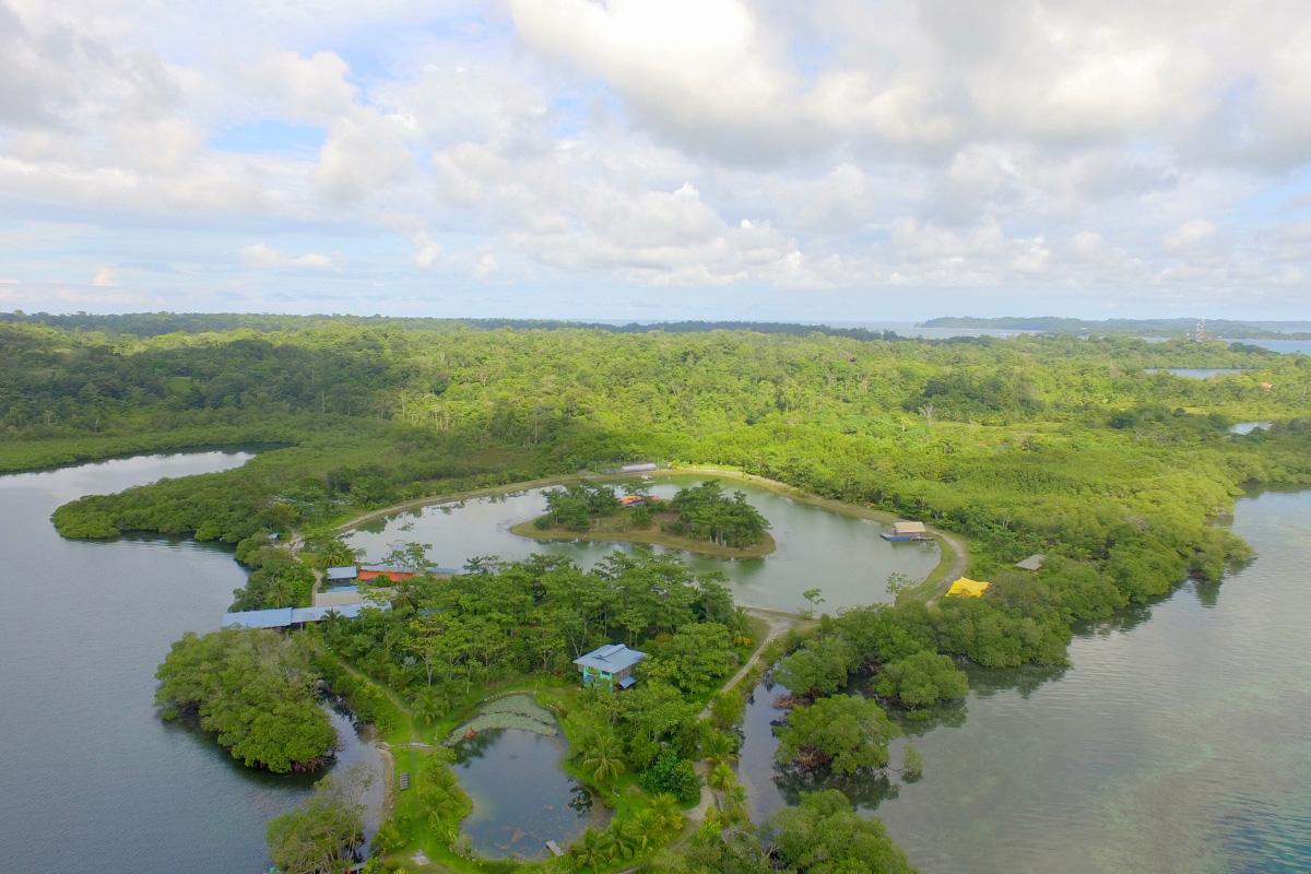 Sweet Bocas - is this villa Central America's best-kept secret?