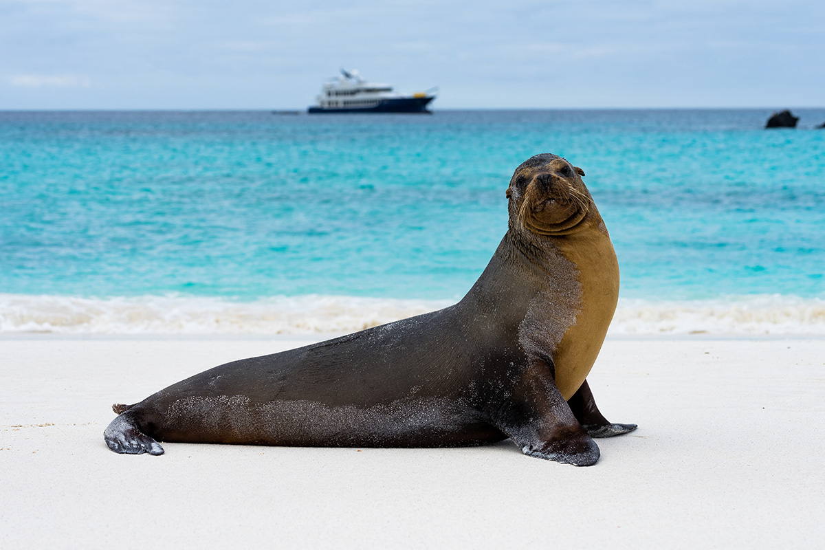 The Origin boat in The Galápagos Islands. Travel moments of adventure and luxury travel