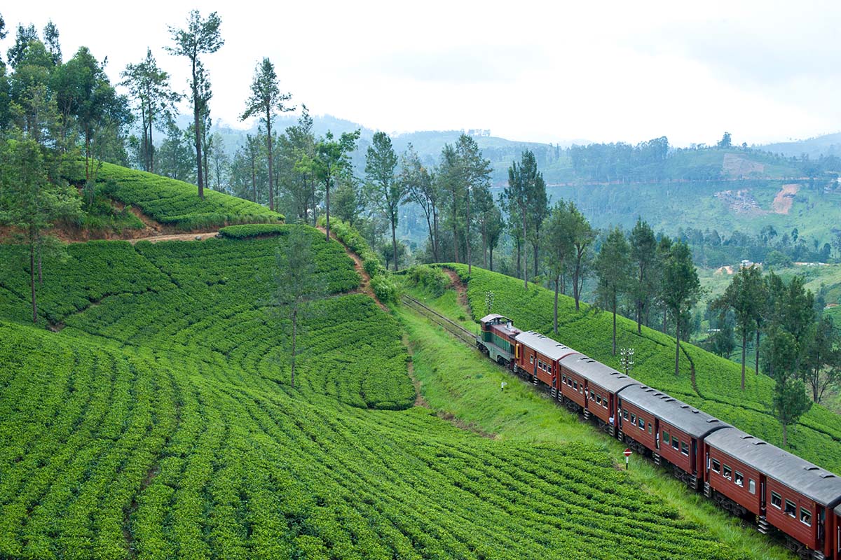 Sri Lanka train, travel company for Sri Lanka