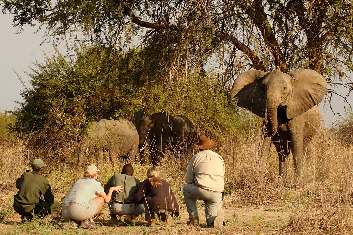The most exciting experiences in Zambia
