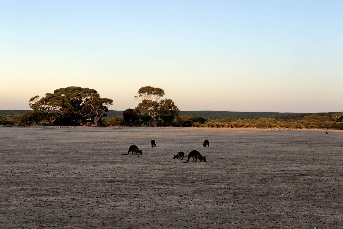 Why is Australia's Kangaroo Island a nature lover's paradise?