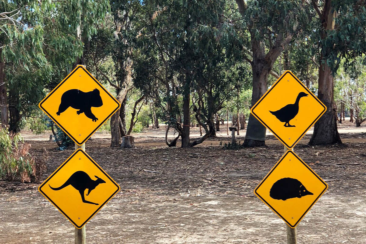 Why is Australia's Kangaroo Island a nature lover's paradise?