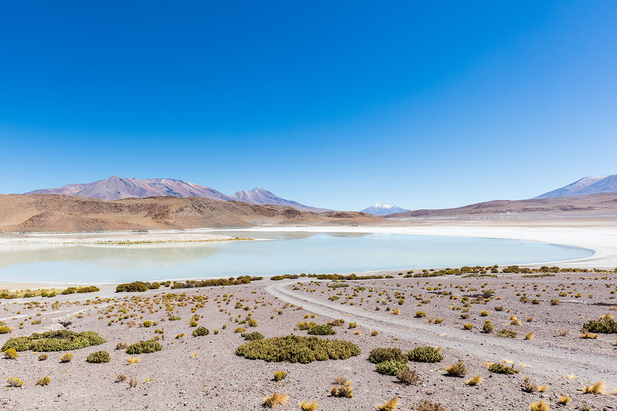 Why should you travel to Bolivia's Eduardo Avaroa National Reserve?