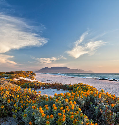 Cape from 10 day South Africa itinerary