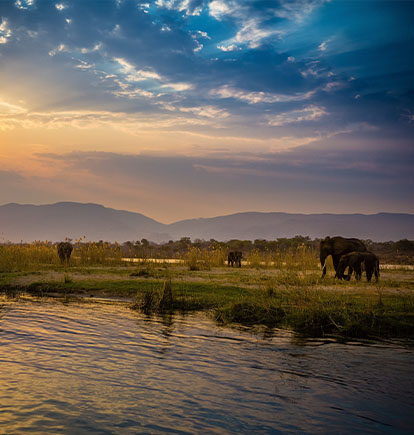 Lower Zambezi featured in the best wildlife safari in the world