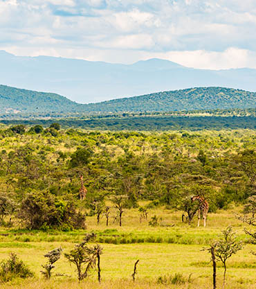 Kenya luxury safari includes the Laikipia plateau