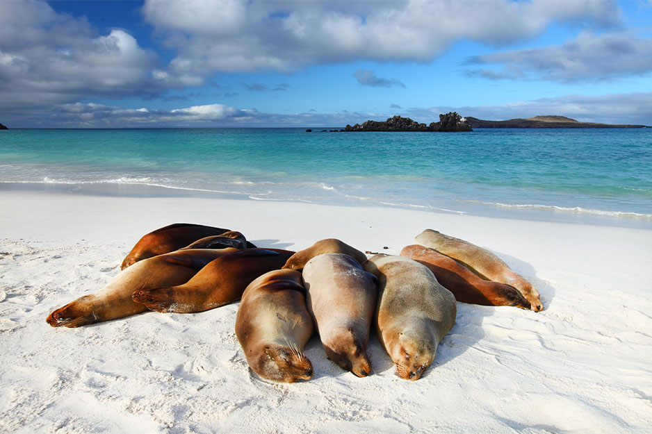 The Galapagos are one of the best spring break destinations for 2024