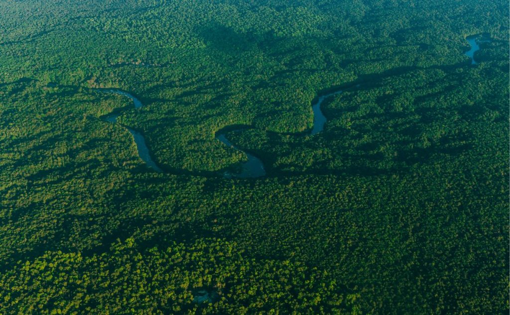 Glorious Guyana