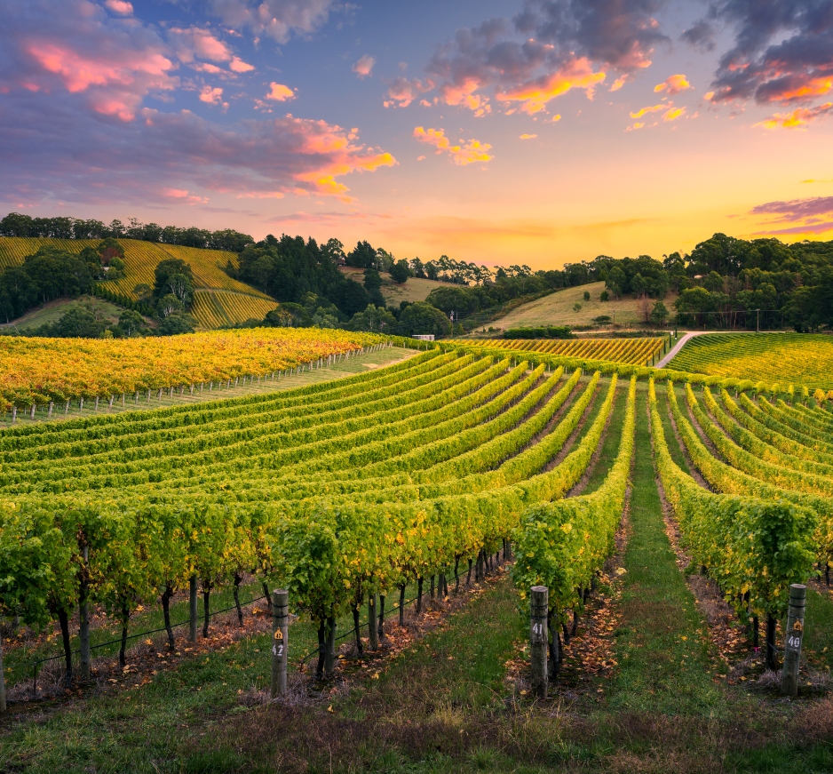 Adelaide Hills, South Australia