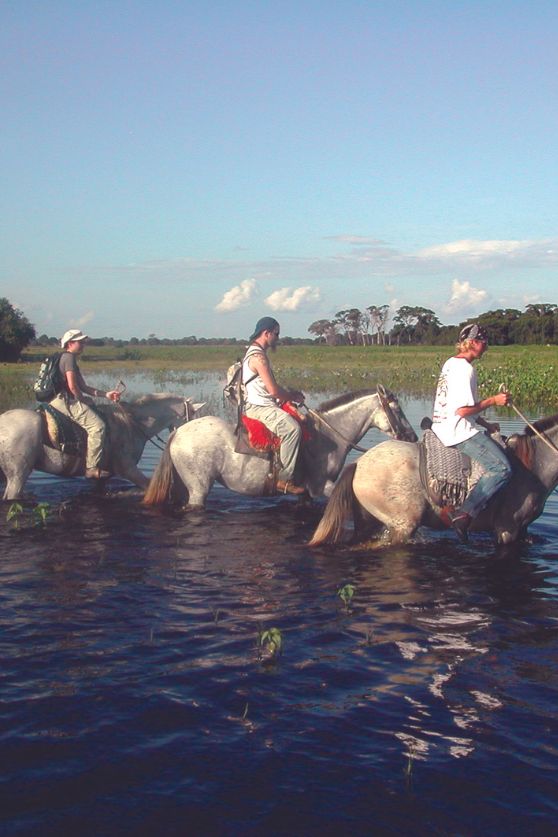 Riding in the Pantanal, Brazil