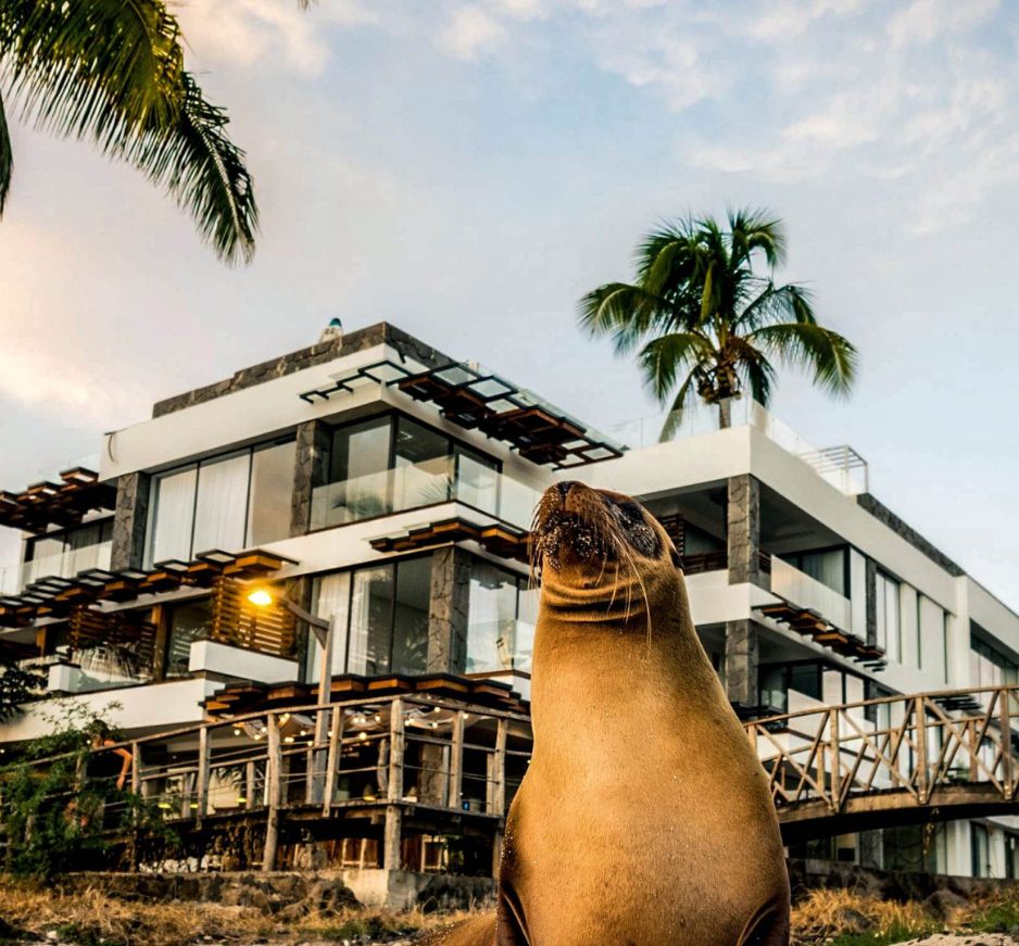 Golden Bay Hotel, San Cristobal, The Galapagos