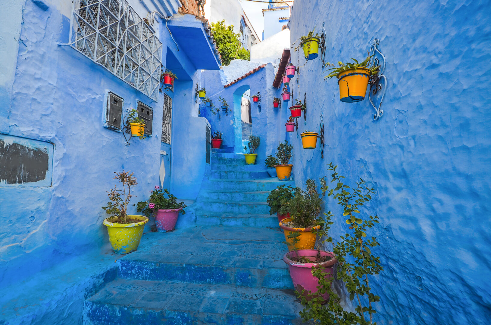 Blue wall and staircase decorated with colourful flowerpots in Morocco