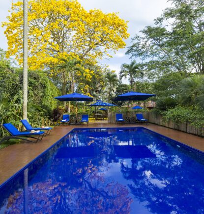 Pool, Hacienda Sazagua Boutique, Coffee Region, Colombia