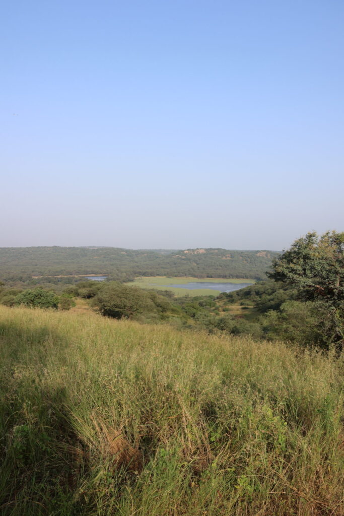 countryside india