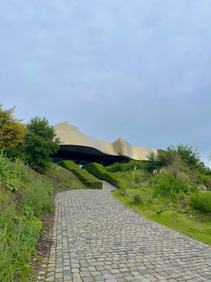 Viña Vik in the Millahue Valley