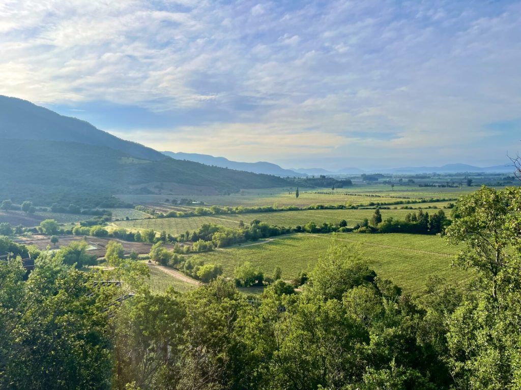 Wine, Dine, and Unwind: Exploring Chile’s Iconic Vineyards