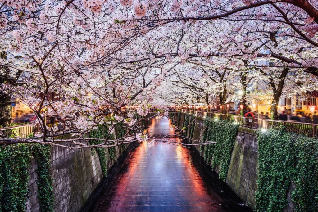 Japan Family Holiday Guide