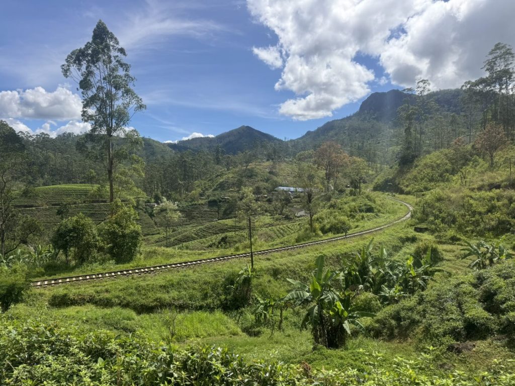 The Pekoe Trail