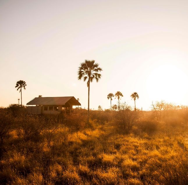 Camp Kalahari, Botswana
