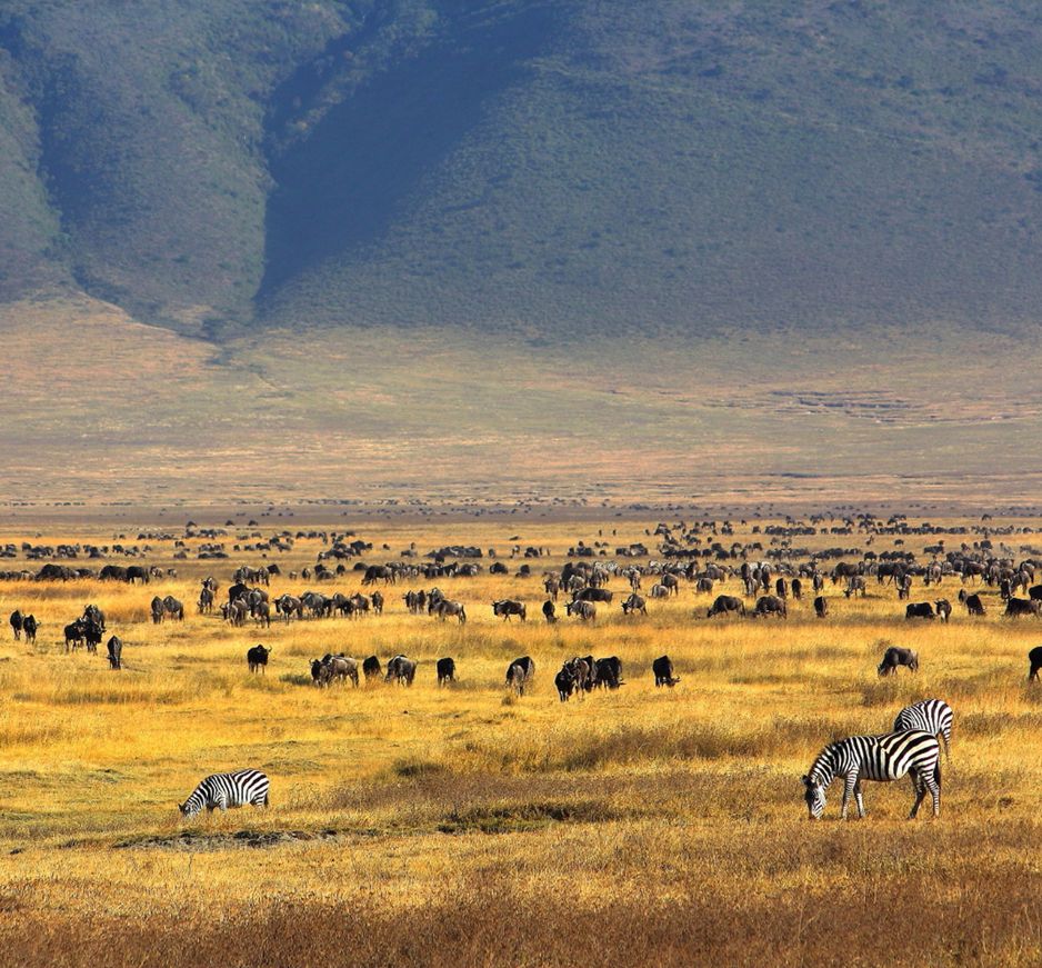 Ngorongoro, Tanzania