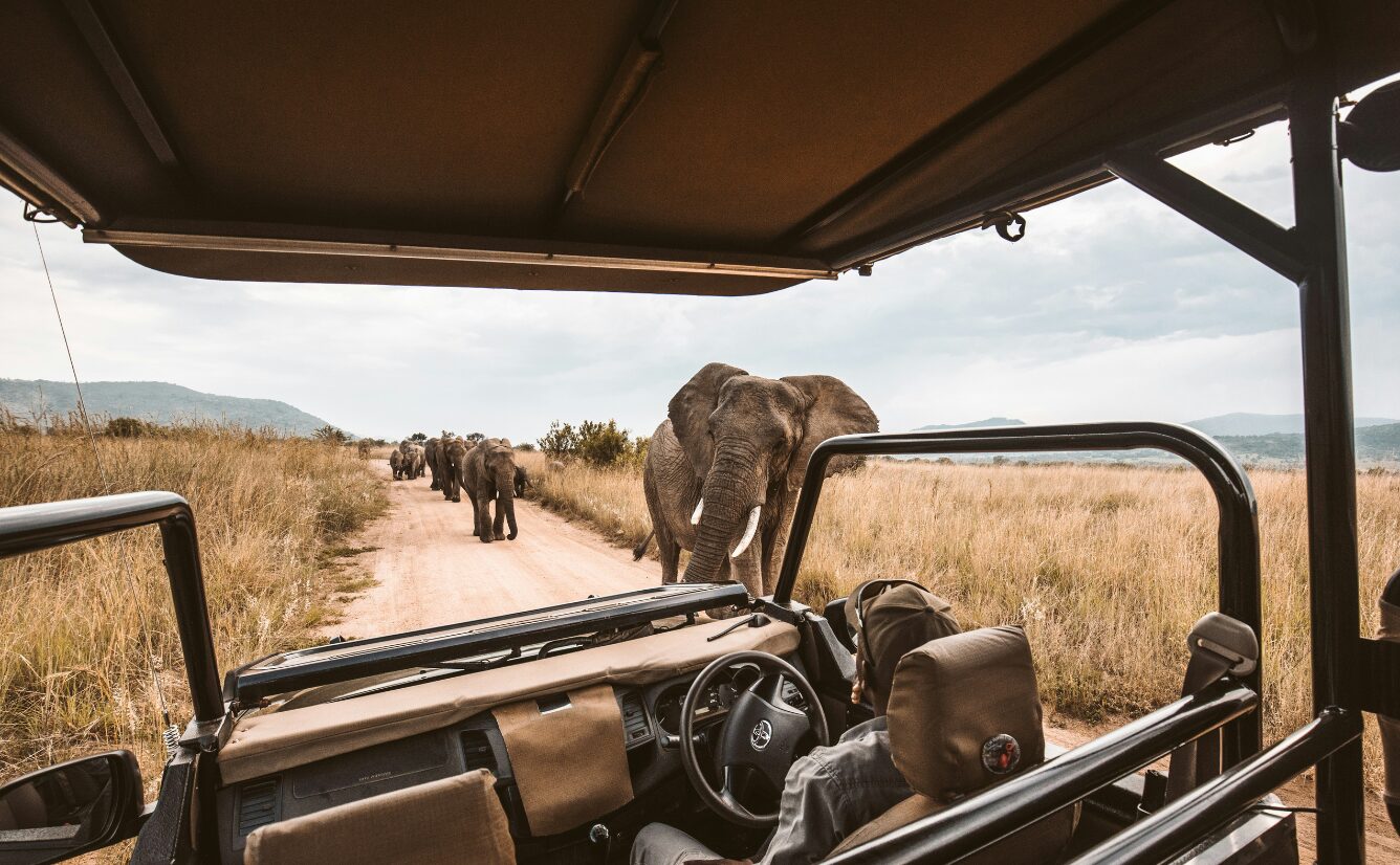 Private Safari Guides