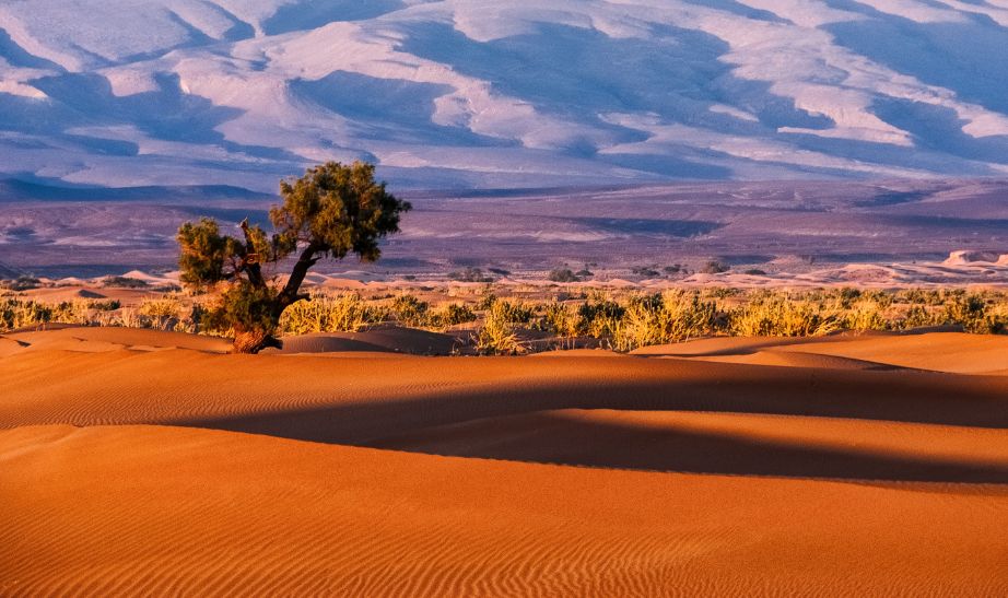 Sahara in Morocco