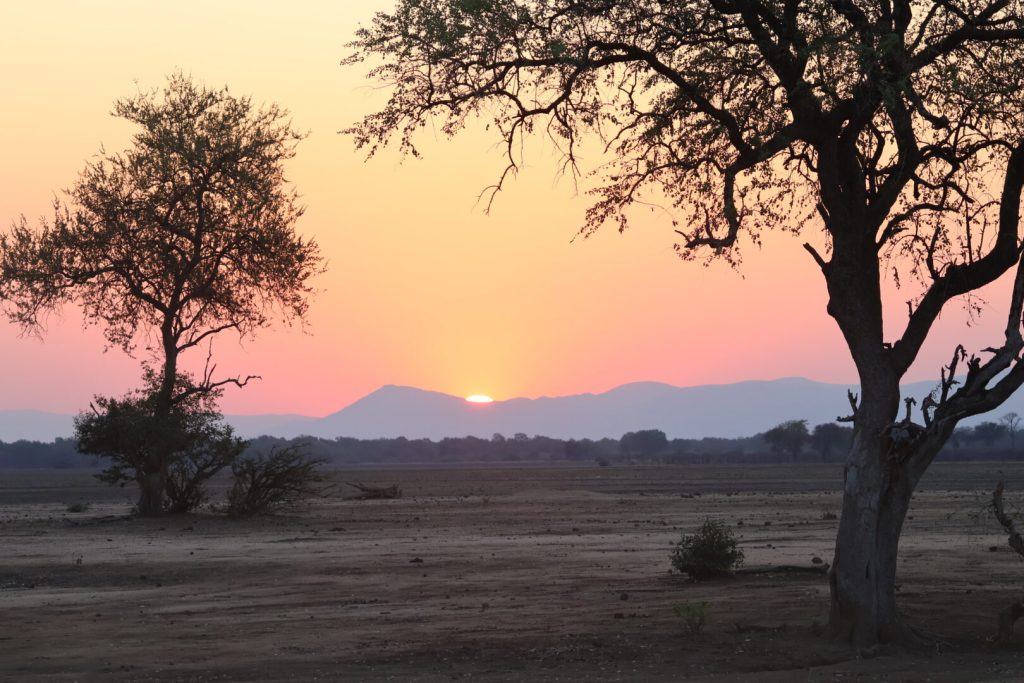 Zambia Safari in October: What to Expect in the Lower Zambezi and South Luangwa