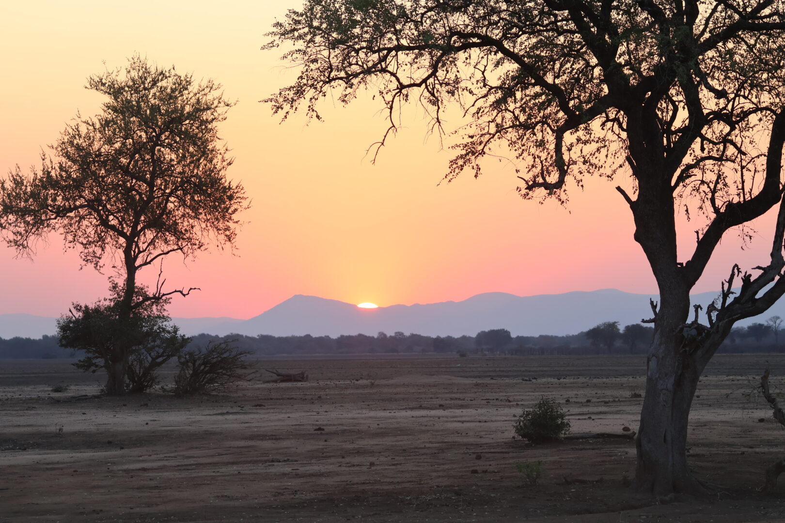 pink skies in zambia
