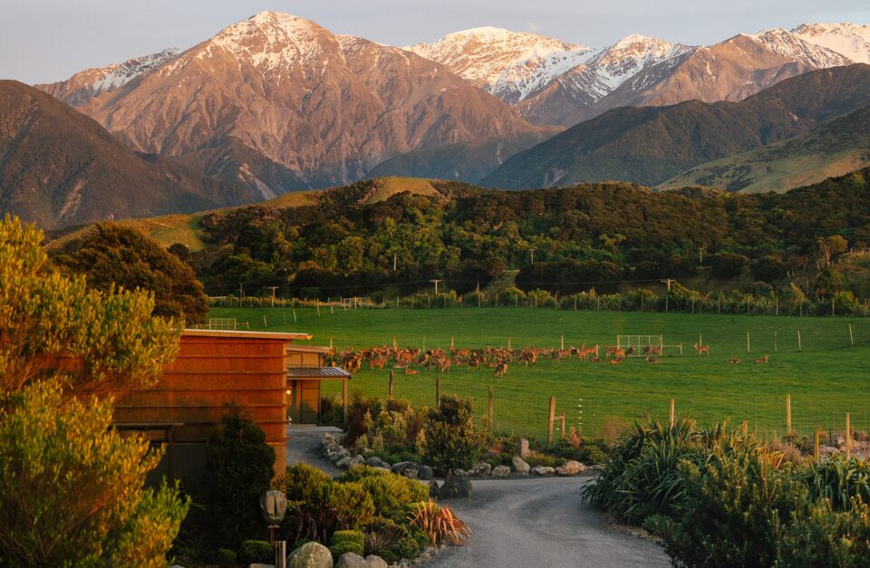 Grounds Mountain Sunrise, Hapuku Lodge & Tree Houses, Kaikoura, New Zealand
