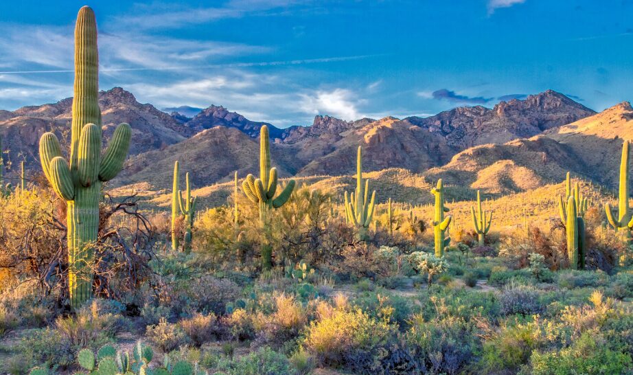 Arizona, USA