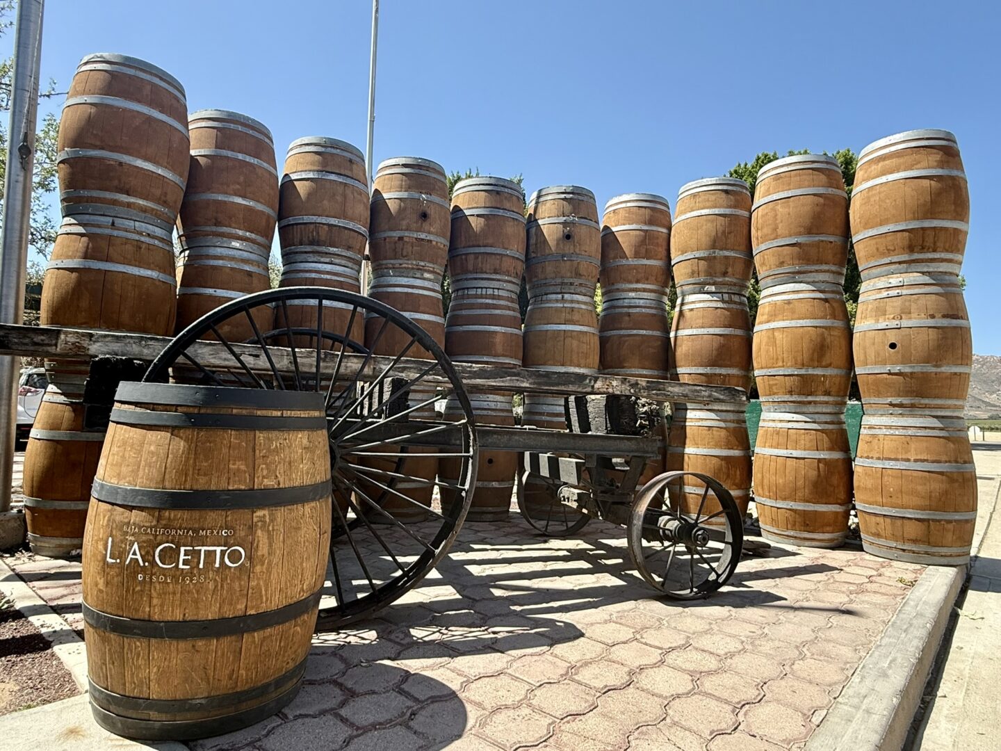 wine barrels in Mexico