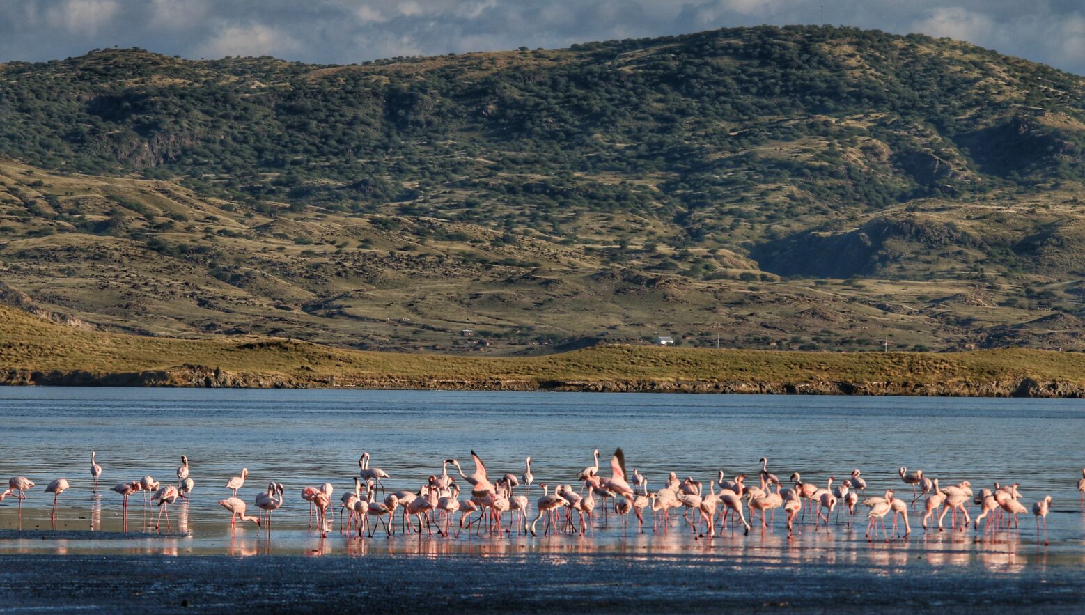 lake Natron, Tanzania