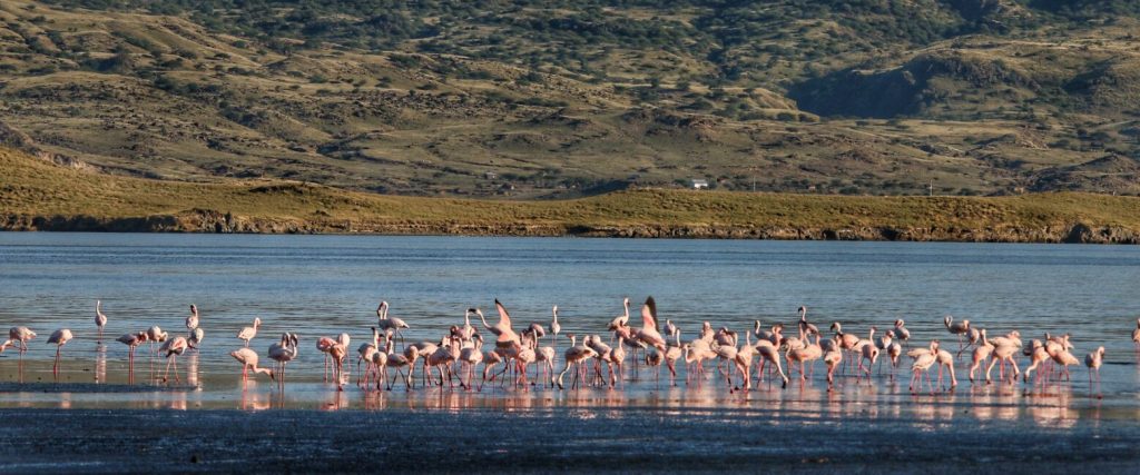Craters to Flamingos, Hiking through Tanzania