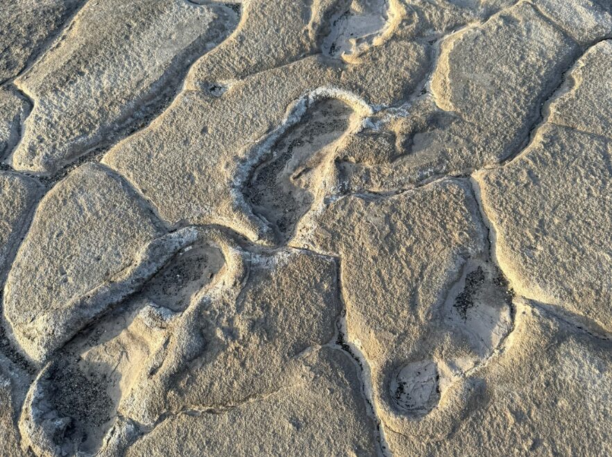 Lake Natron Footprints, Tanzania