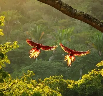 Wellness to Wonder in Costa Rica