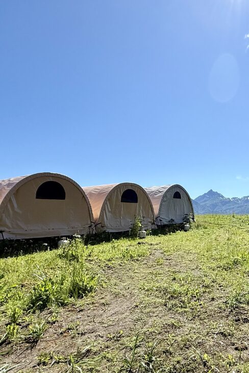 Alaskan Camp Bear Viewing