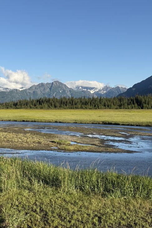 Alaska view