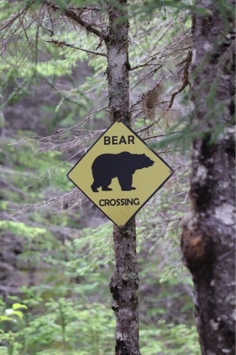 Bear crossing sign in Alaska