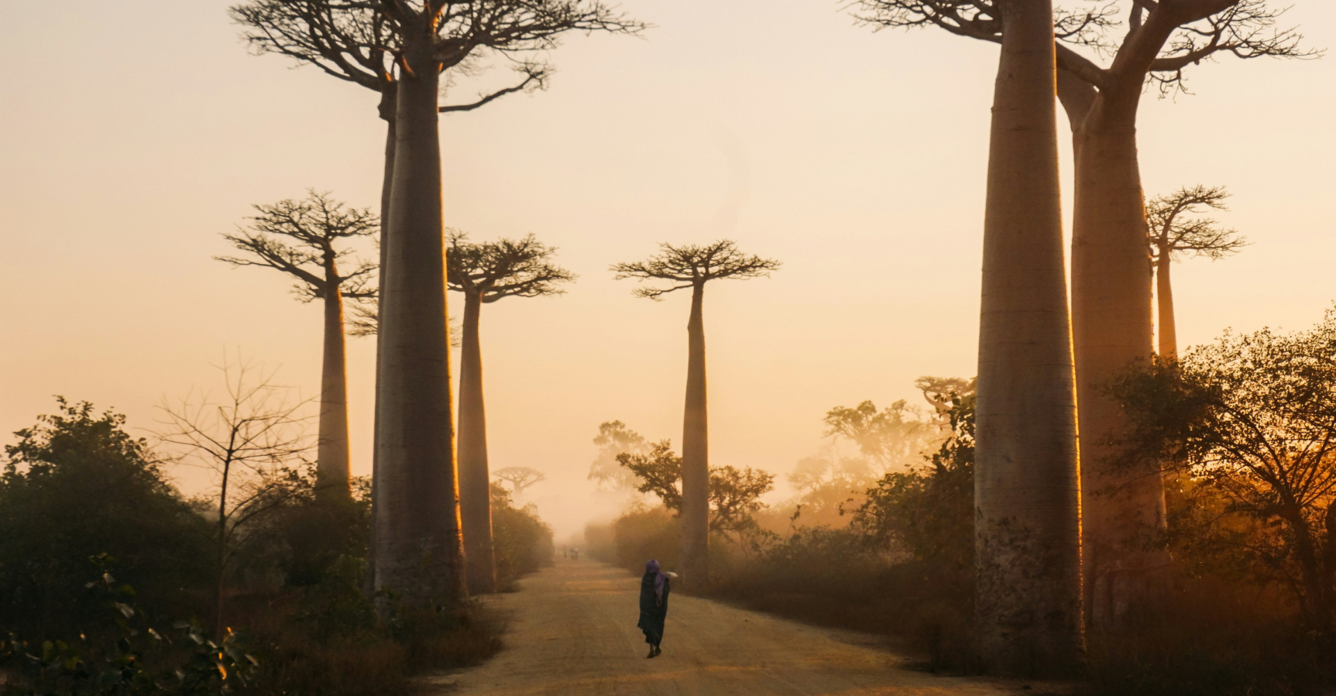 Madagascar