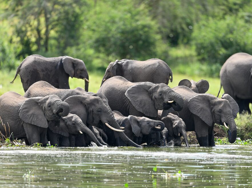 Queen Elizabeth National Park, Uganda